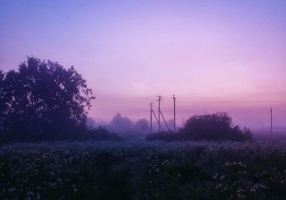 九游娱乐-开云：让云端生长的故事