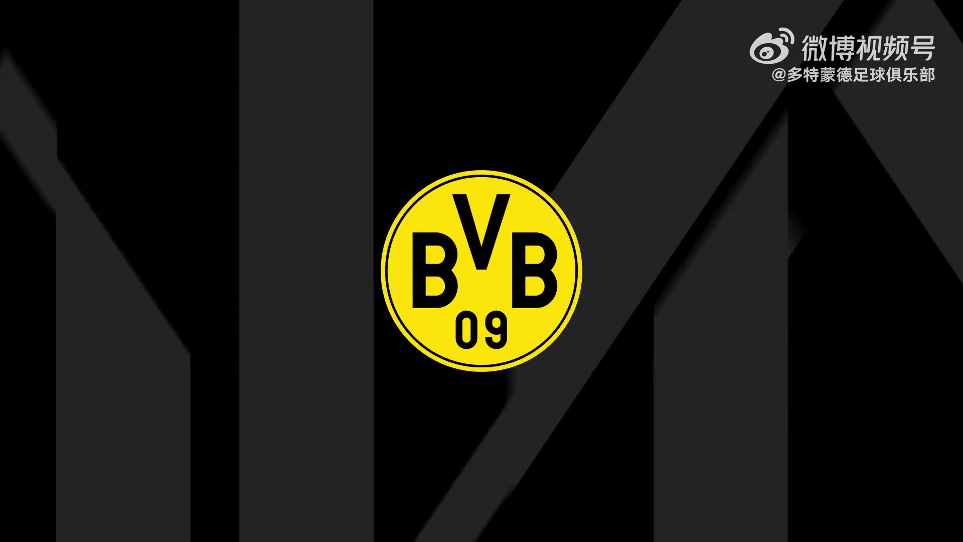 九游娱乐-樊振东与波尔到访多特+踢球🤣樊振东调侃：尽力了但踢得不咋地